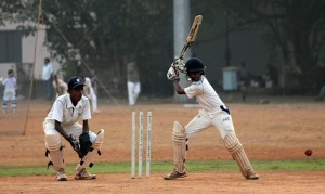 cricket jodhpur india